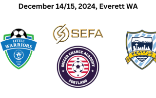 Sefa Soccer vs US Soccer Clubs