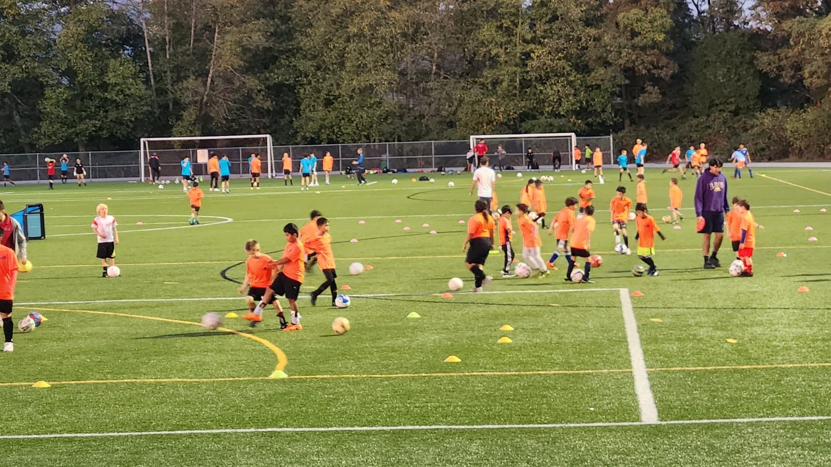 Burnaby Lake Sports Complex West soccer fields